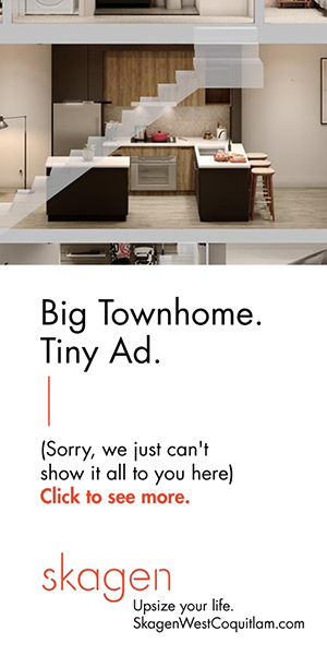 Online%20 %20Skagen%20ads%20%20Thumbnail%20 %20300x600